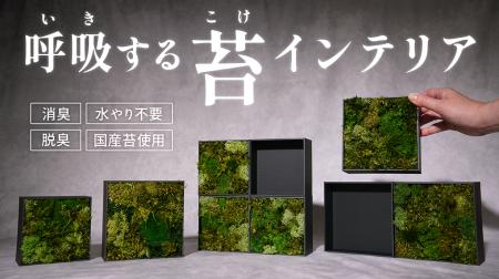 水やり不要の天然苔インテリア「KOKE」第三弾が登場。
