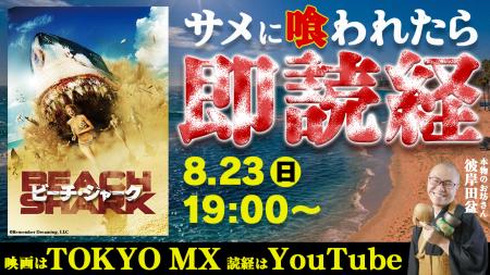 夏だ!サメ映画だ!読経だ!サメに喰われたら本物のお 夏だ!サメ映画だ!読経だ!サメに喰われたら本物のお