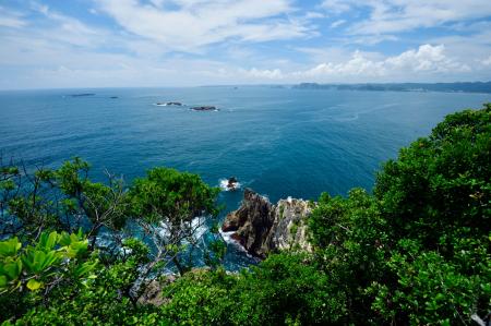 「鯨とともに生きる」日本遺産ウォークin宇久井半島を