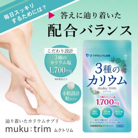 【新発売】創業170年のワダカルシウム製薬から、夕方 【新発売】創業170年のワダカルシウム製薬から、夕方