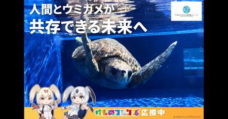 【DMM 地方創生】日本唯一のうみがめ博物館「カレッタ