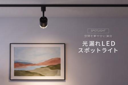 光漏れLEDスポットライト ブラック・ホワイトの2色を