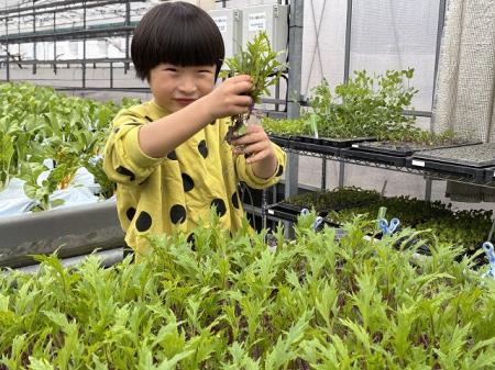 武蔵小杉(神奈川県川崎市)の複合型コミュニティ施設 武蔵小杉(神奈川県川崎市)の複合型コミュニティ施設