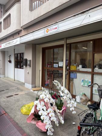 捨てられるはずの胡蝶蘭に、新たな命と社会価値を。「 捨てられるはずの胡蝶蘭に、新たな命と社会価値を。「