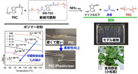 使用後に肥料へ変換できるプラスチックの“柔らかさ”を 使用後に肥料へ変換できるプラスチックの“柔らかさ”を