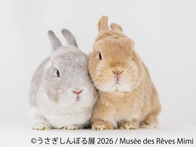 10周年“うさぎの祭典”が開幕！200点超の作品＆限定グ