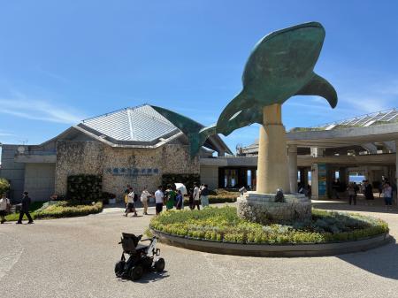 水族館では全国初!沖縄美ら海水族館で近距離モビリテ 水族館では全国初!沖縄美ら海水族館で近距離モビリテ