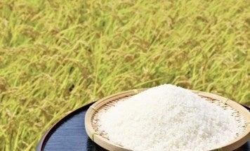 令和8年産新米を8月19日(水)より予約受付開始! バ 令和8年産新米を8月19日(水)より予約受付開始! バ