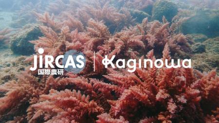 国際農林水産業研究センターと共同研究契約を締結