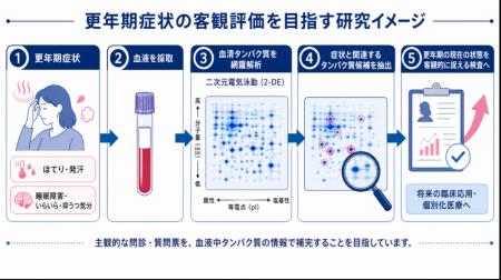 更年期症状と関連する血清タンパク質候補の研究成果を