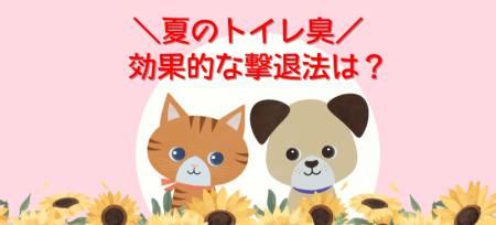 9割超が「夏が最も臭う」と回答！ペットトイレ臭の悩
