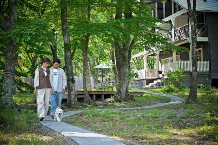 【岐阜・郡上】真夏でも快適なひるがの高原に「KuKuRi