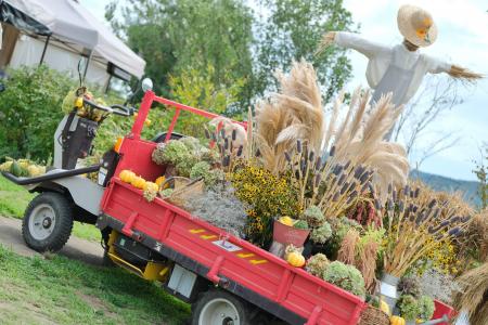 【敬老の日は65歳以上入園無料】蚤の市や秋を味わう収