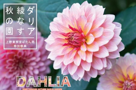 東京・上野公園┃120種200株以上のダリアが秋の庭園を