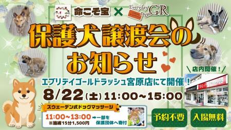 猛暑から人と犬を守る異例の試み】冷房完備の「室内保 猛暑から人と犬を守る異例の試み】冷房完備の「室内保
