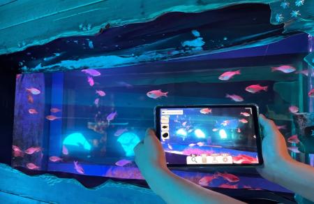 【南知多ビーチランド】さがして みつけて つかまえる