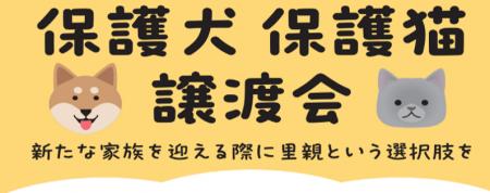 保護犬・保護猫の譲渡活動が拡大中！2026年９月綿半店
