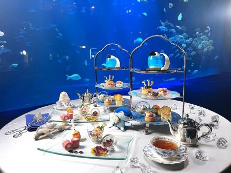 【四国水族館×JRホテルクレメント徳島】四国水族館の 【四国水族館×JRホテルクレメント徳島】四国水族館の