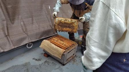 葬祭施設を地域の学びの場に　あいプラン、都市型養蜂