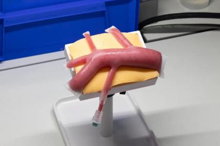 「Feel Organ 肺動脈モデル（WKA-Fe1）」の血管鞘を20