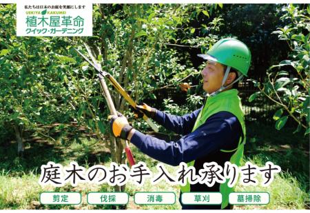 「庭木1本から」の明朗会計で累計作業実績50万件株式