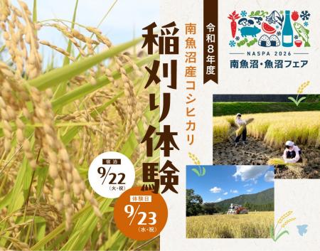 黄金色の田んぼで、南魚沼産コシヒカリを収穫！25年目