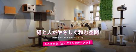 【仙台】2009年創業の老舗猫カフェの想いを継承！保護