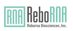 リボルナバイオサイエンス、キッセイ薬品との共同研究