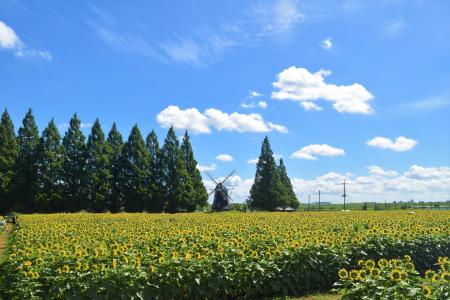 【千葉県柏市】あけぼの山公園を中心とした「地域の新