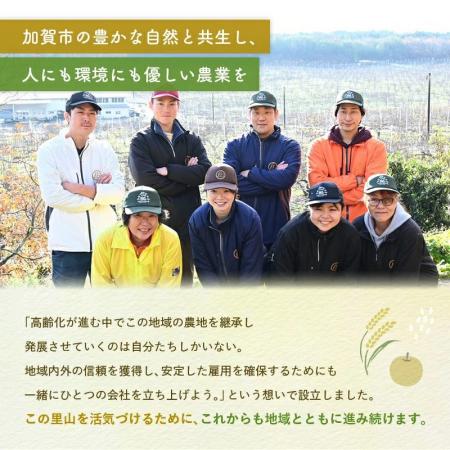 石川県加賀市の「梨 福袋」が楽天ふるさと納税総合ラ