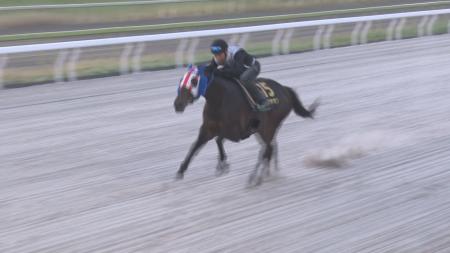 コリアカップ（G2）遠征を前に最後の国内追い切りが完