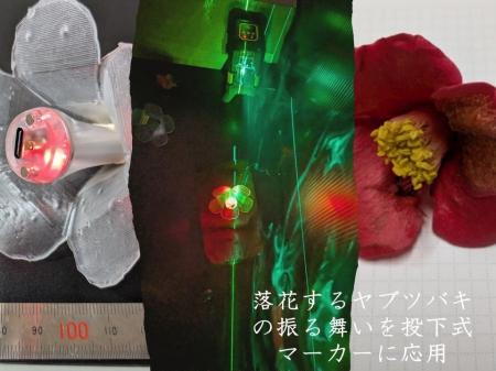 【津山高専】落花した花の流体現象をアートで発信 学 【津山高専】落花した花の流体現象をアートで発信 学