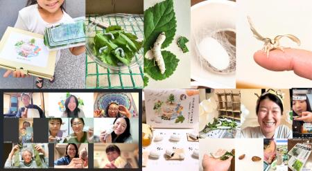 自宅で10頭の蚕を育て、命のつながりを体験「小さな命 自宅で10頭の蚕を育て、命のつながりを体験「小さな命