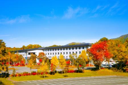 標高1,390mへ、紅葉の上を空中散歩。ロープウェイ往復