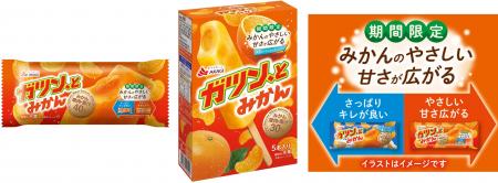 「ガツン、とみかん」史上初! みかんのやさしい甘さ 「ガツン、とみかん」史上初! みかんのやさしい甘さ