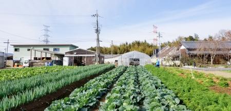 なぜこの畑は50年も病気知らず？「土壌の健康」の秘密