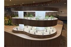 羽田空港で展開する「Airport Forest Circle Project 羽田空港で展開する「Airport Forest Circle Project