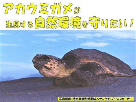 「アカウミガメの卵を守る新しい保護柵をつくるための
