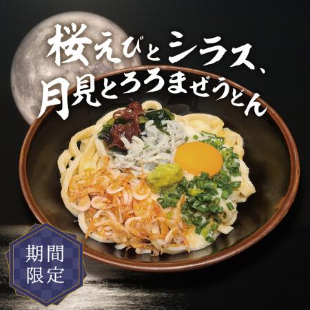肉つけうどん店「うつけ」期間限定メニュー「桜utf-8
