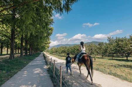 【JAF滋賀】引退競走馬とのふれあいや乗馬体験を楽し