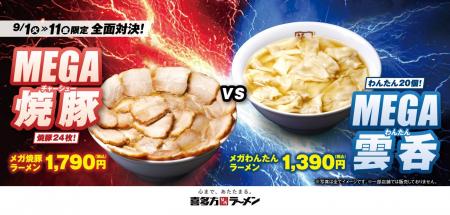 【喜多方ラーメン坂内】どんぶり一面を埋め尽くす圧倒