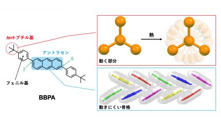 「複雑さ」を設計して、結晶の「動き」をプログラムす 「複雑さ」を設計して、結晶の「動き」をプログラムす