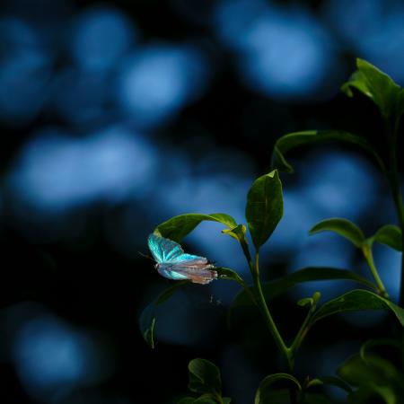 写真家・萩原 れいこ氏の展覧会『Resonance −共鳴− 20