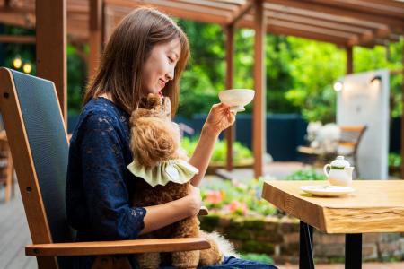 愛犬との別府旅がもっと便利に　カフェ＆屋内ドッグラ