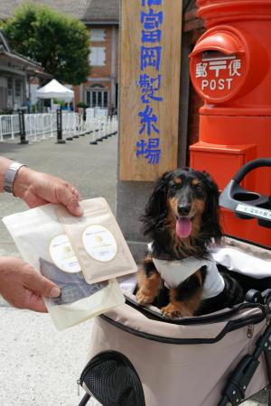 ペット同伴入場を開始してから3年5か月で、ペッutf-8