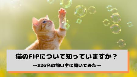 猫のFIP、症状を「一つも知らない」飼い主が46.6%--回