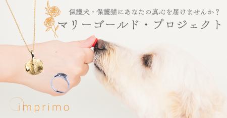 動物保護団体様が保護、飼育する保護犬・保護猫の「鼻