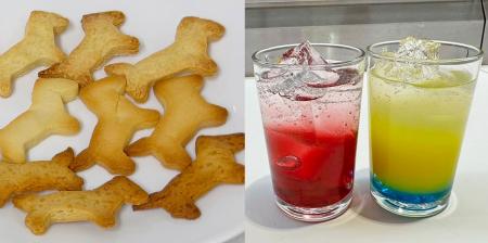身近な「おさとう」のひみつを科学で解き明かす！食物