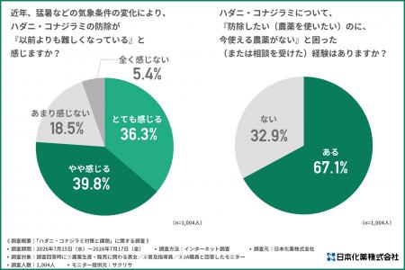 猛暑でハダニ・コナジラミが劇増…！約7割が「収穫直前