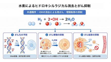 低濃度水素吸入の抗がん作用に関する研究知見｜MiZ 慶
